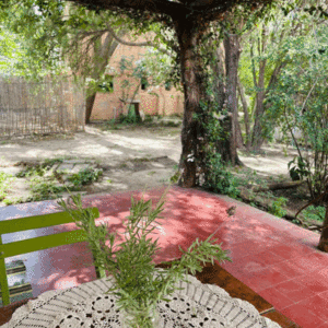 Aojamiento el nogal temporario rodeada de naturaleza en San Marcos Sierras Córdoba